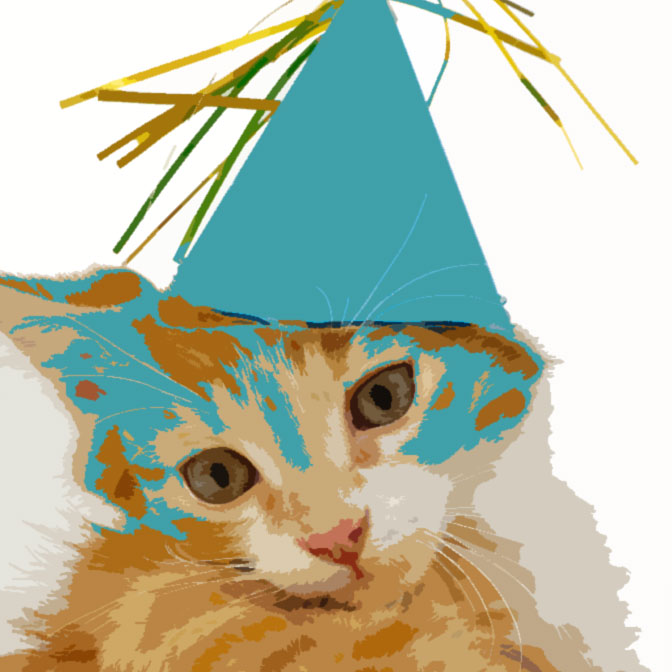 cat in blue party hat